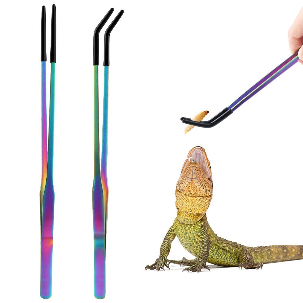 2PCS Stainless Steel Reptile F - Feeding Tong Stainless 评论和价格