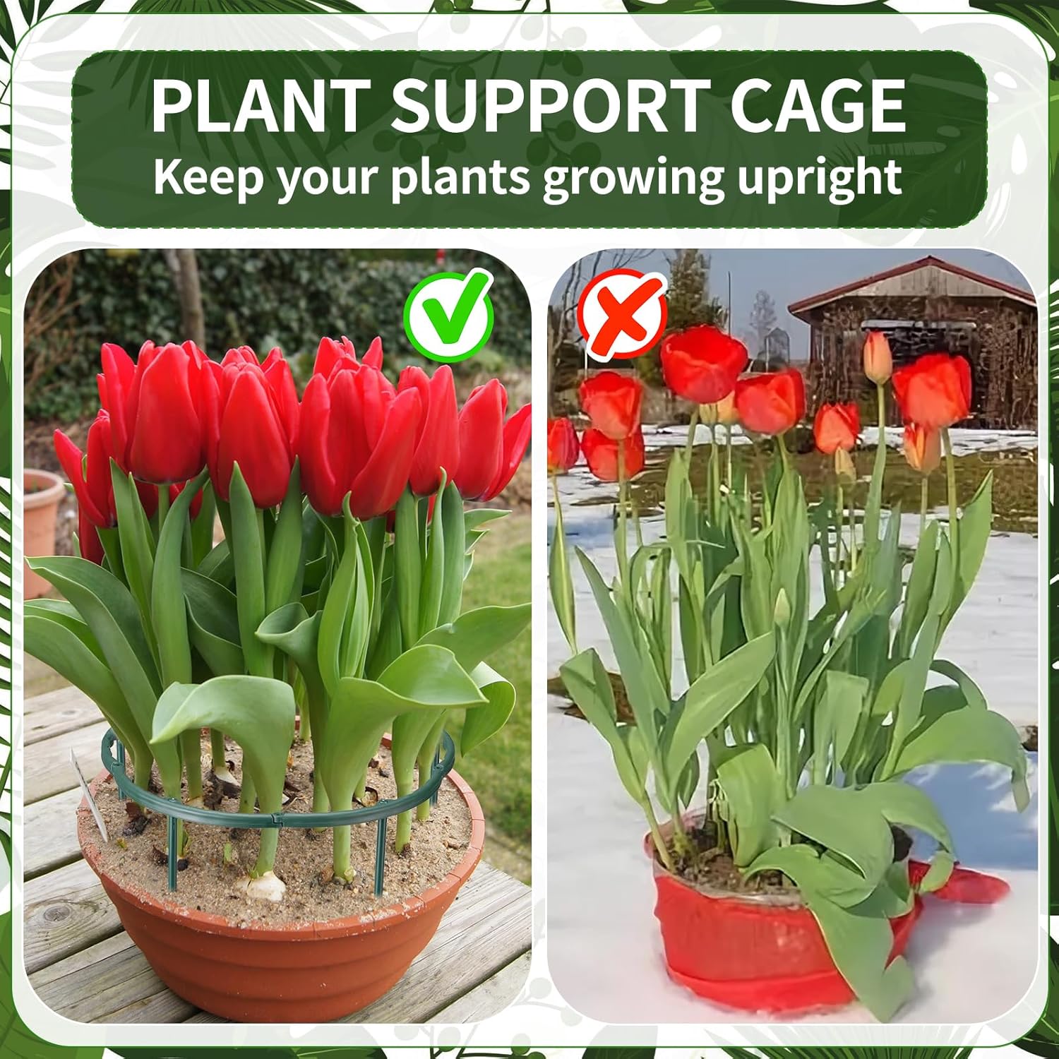 1/16pcs Plant Support Stake Fl - Vine Climbing Plastic 评论和价格
