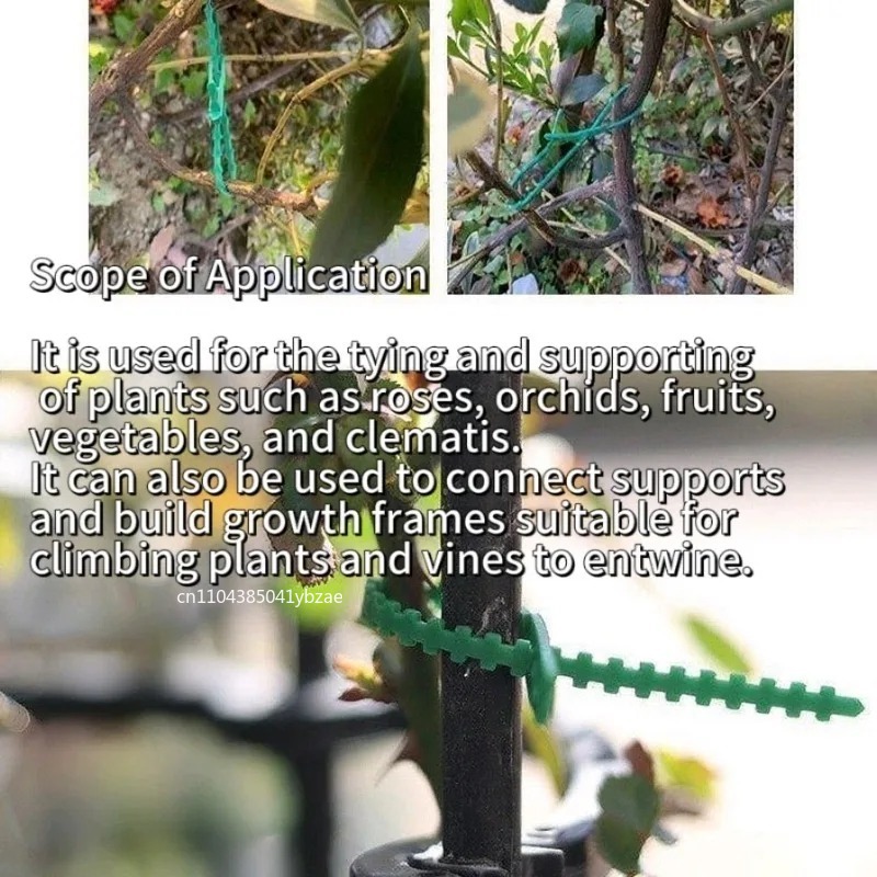 50-1000pcs Adjustable Plastic  - Vine Climbing Plastic 评论和价格