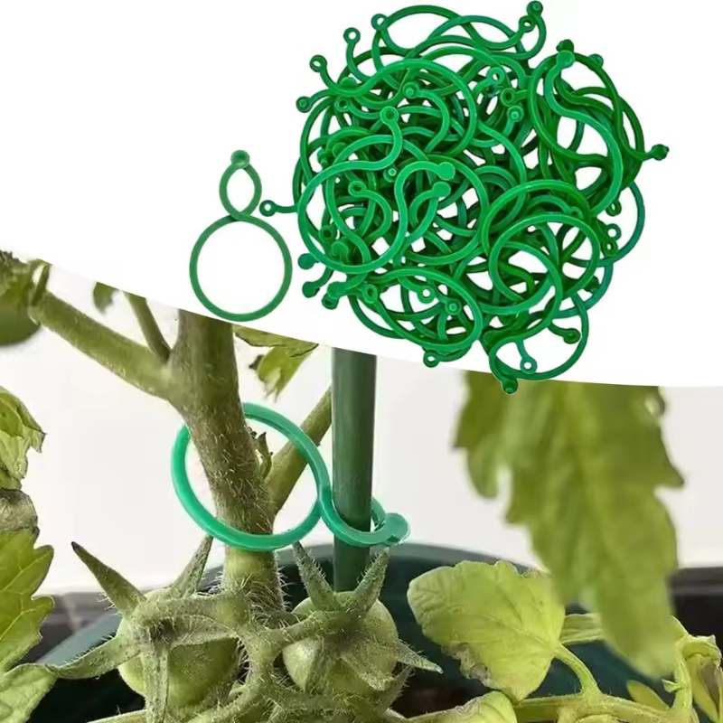50-400Pcs Plant Support Clips  - Vine Climbing Plastic 评论和价格