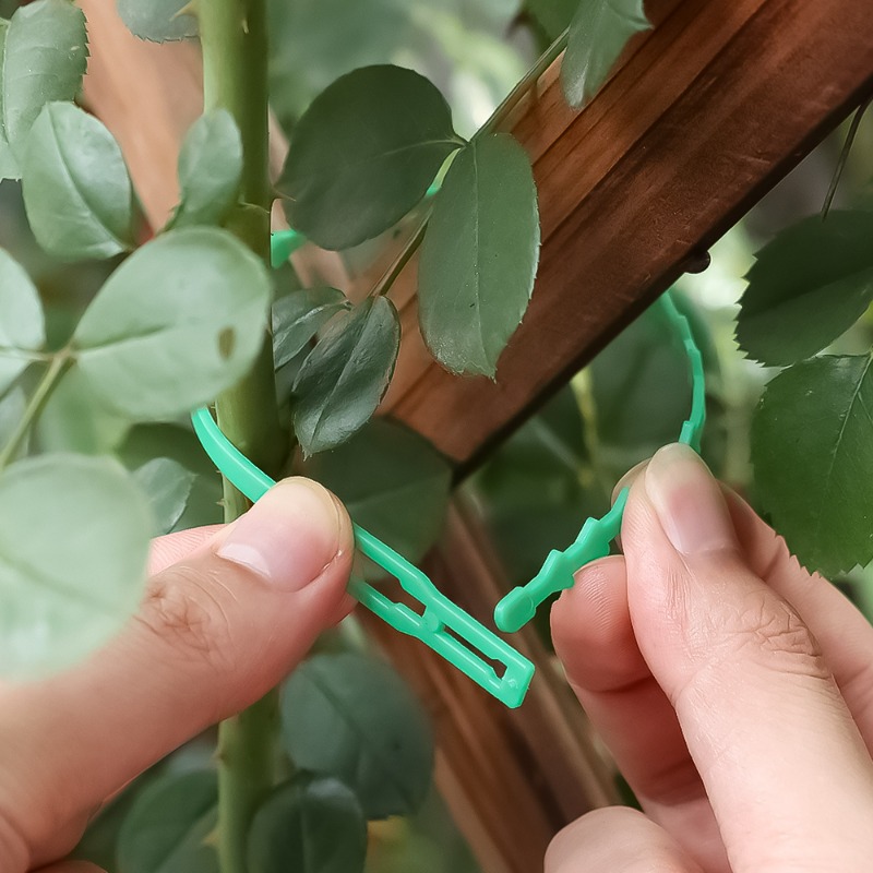 Wholesale Reusable Plant Fixed - Vine Climbing Plastic 评论和价格