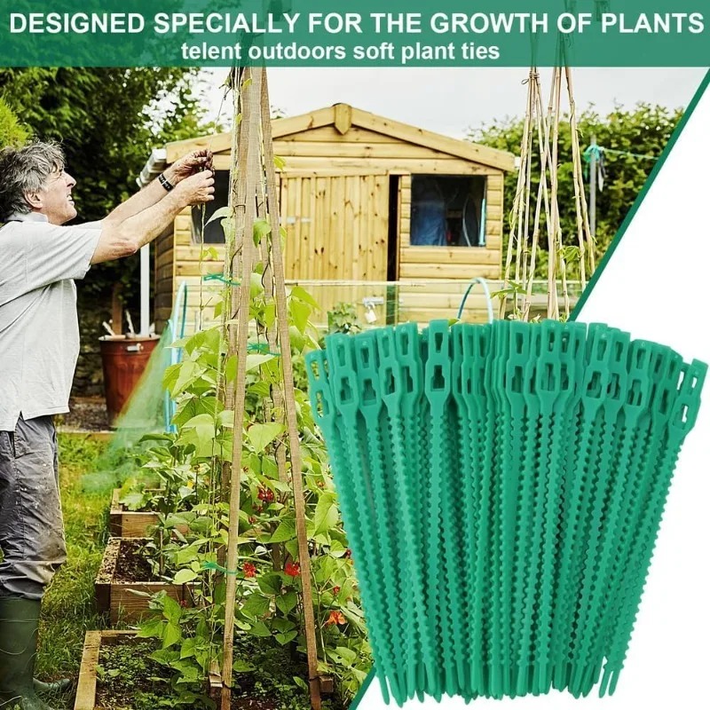 Wholesale Reusable Plant Fixed - Vine Climbing Plastic 评论和价格