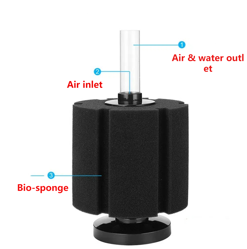 Aquarium Filter Sponge For Fis - Aquael Filter Fzn 评论和价格