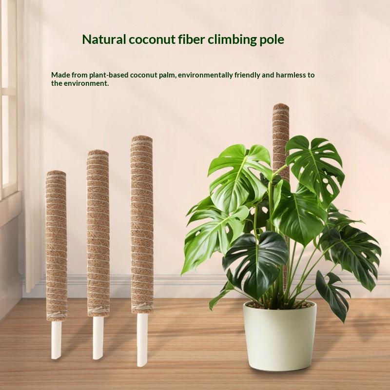 1Pcs Plant Growth Traction Rod - Vine Climbing Plastic 评论和价格