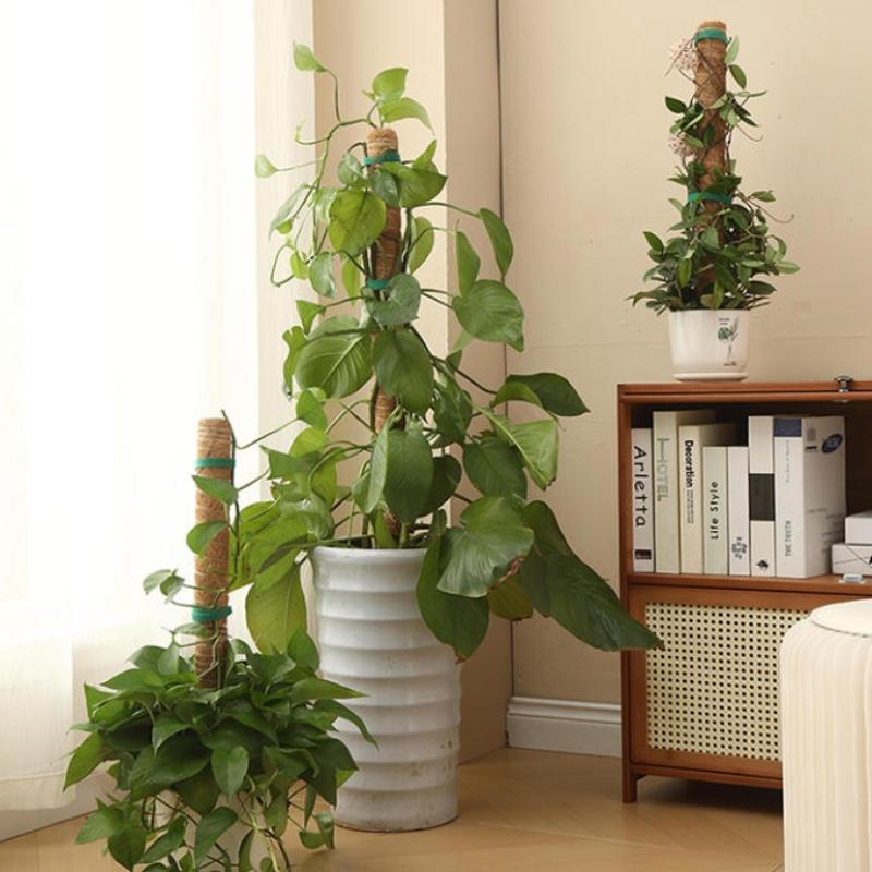 1Pcs Plant Growth Traction Rod - Vine Climbing Plastic 评论和价格