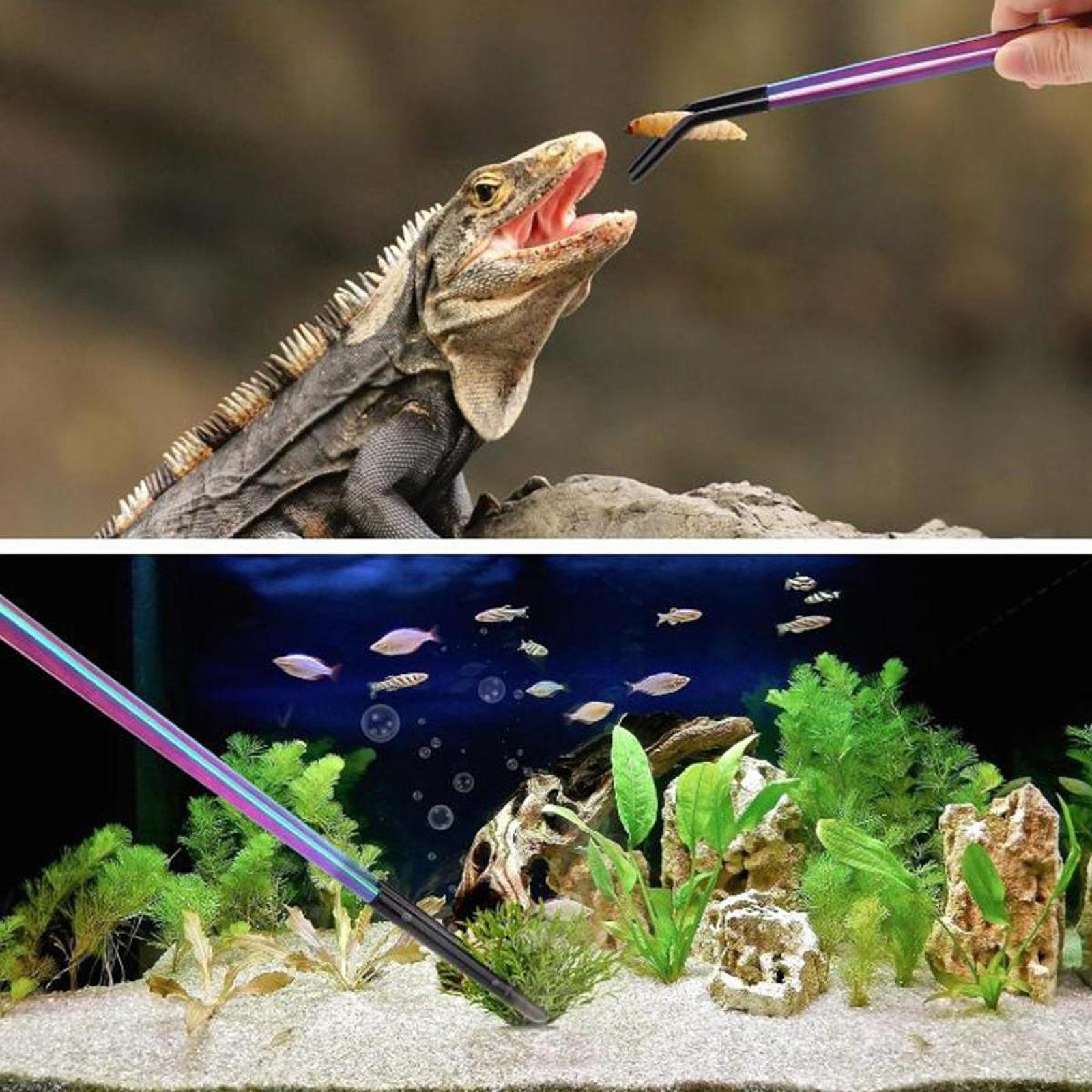 Aquarium Tweezers Reptile Feed - Feeding Tong Stainless 评论和价格