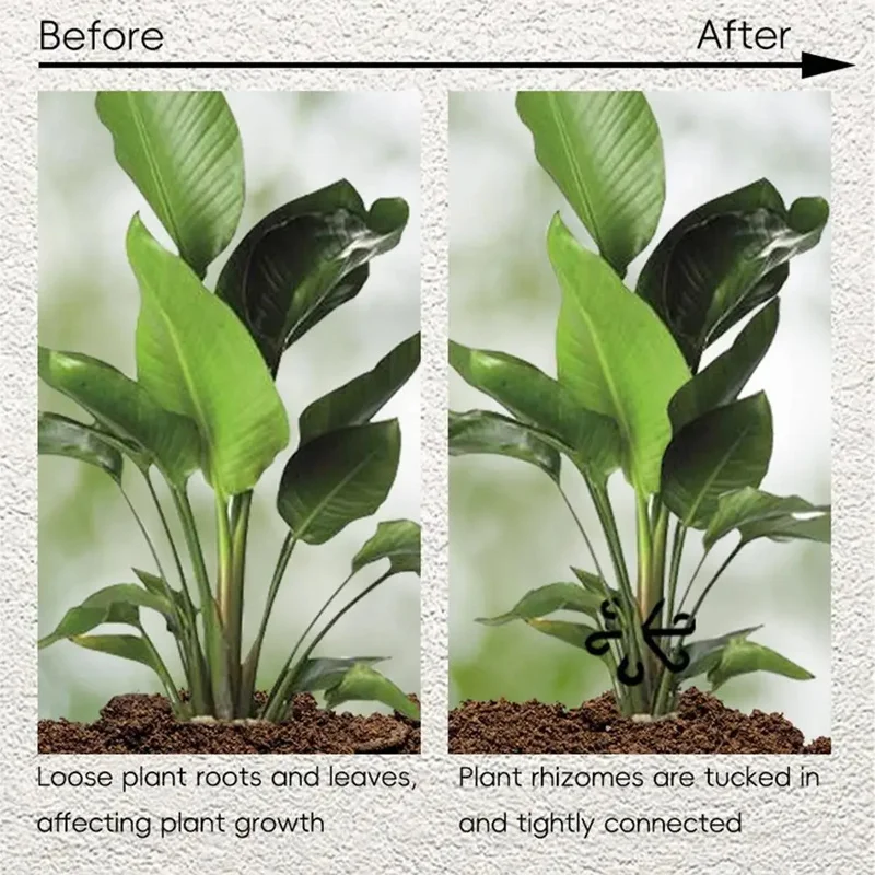 Stem Support Alocasia Monstera - Vine Climbing Plastic 评论和价格