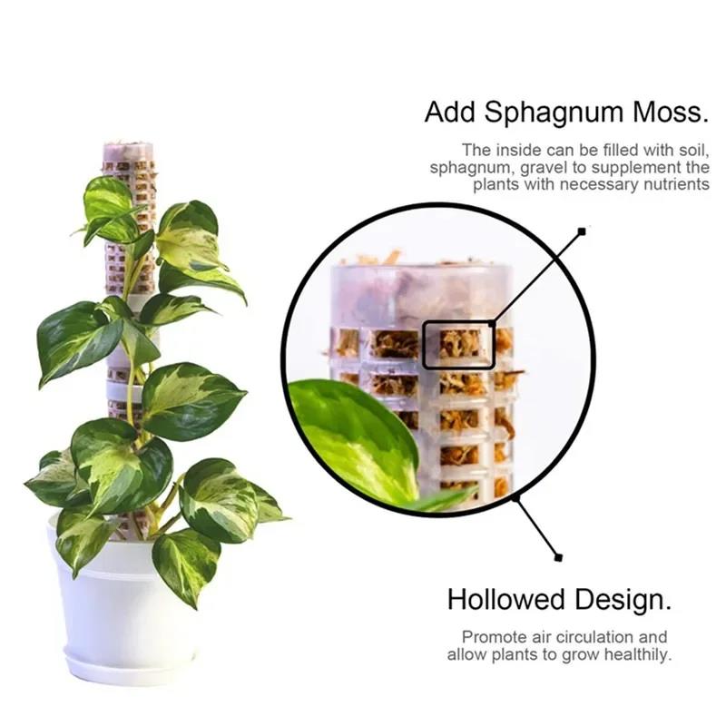 Plant Climbing Frame Plant Tre - Vine Climbing Plastic 评论和价格