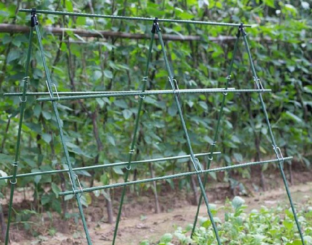 Diameter 8/11/16mm Plant Suppo - Vine Climbing Plastic 评论和价格