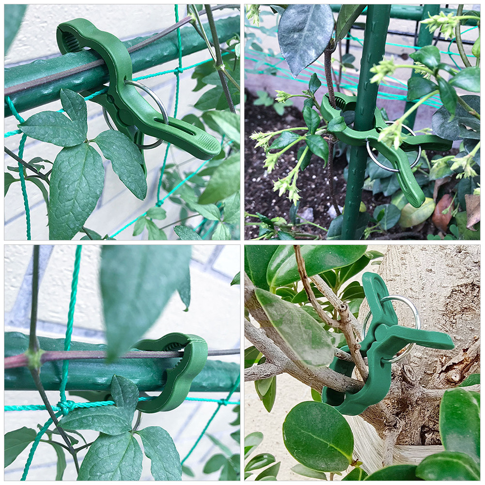 60Pcs Garden Plant Clips Plast - Vine Climbing Plastic 评论和价格