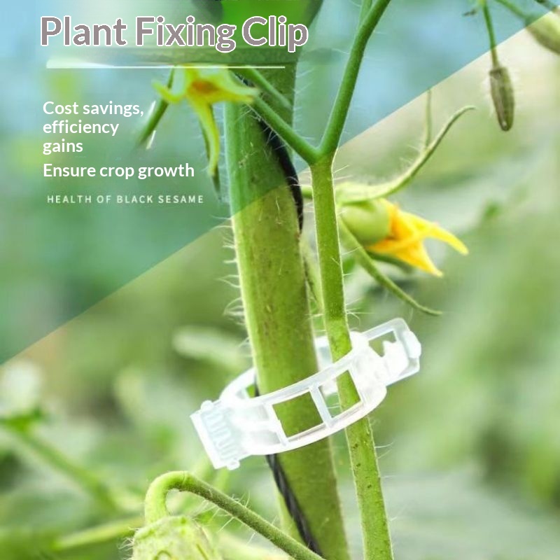 Plastic Plant Support Clips Re - Vine Climbing Plastic 评论和价格