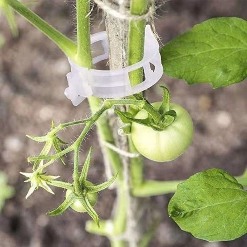 Plastic Plant Support Clips Re - Vine Climbing Plastic 评论和价格