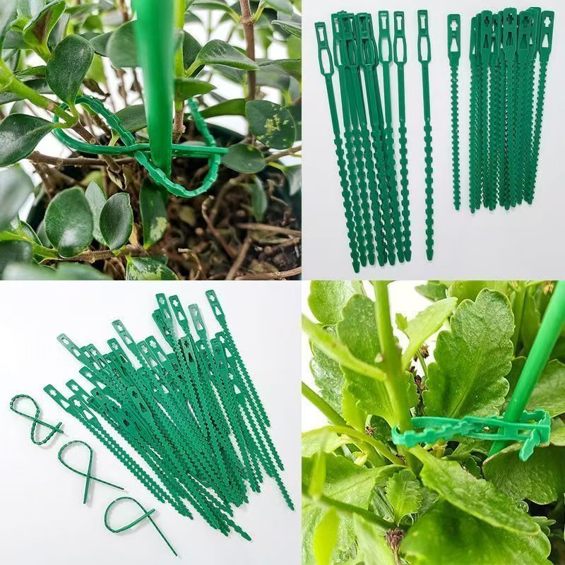 Green Reusable Plant Ties Adju - Vine Climbing Plastic 评论和价格