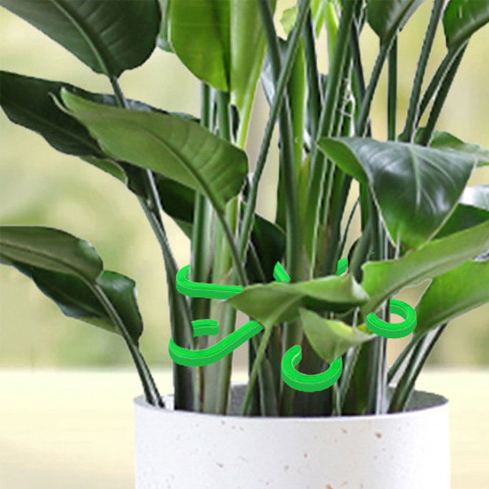 12Pcs Plant Support Clips for  - Vine Climbing Plastic 评论和价格